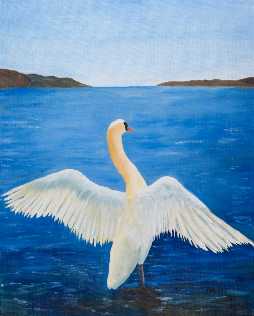 Spread Your Wings, Swan